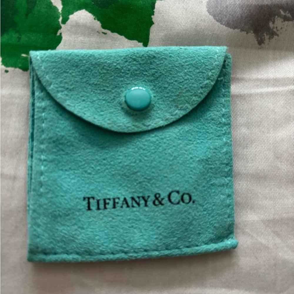 Tiffany & Co. Turquoise Pouch